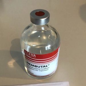 nembutal