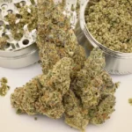 Die richtige Cannabis-Mühle wählen: Die besten Grinder 2025